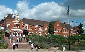 Image result for Basingstoke Sc