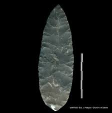 Image result for feuille-laurier-silex