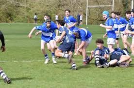 Image result for Bishop`s Stortford Rugby Football Club