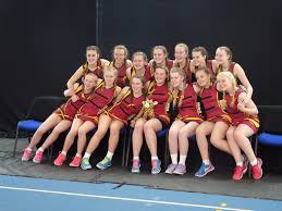 Image result for Huddersfield Giants Netball Club