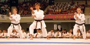 Image result for Sandokai Karate
