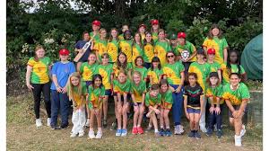 Image result for Shepherds Bush Cricket Club
