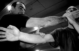 Image result for Midlands Wing Chun