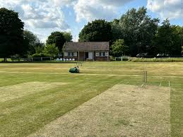Image result for Lingfield Cricket Club