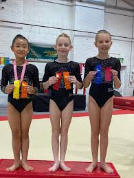 Image result for Abingdon Gymnastics Club