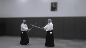 Image result for Goryukai Aikido Yoshinkan (Chichester)