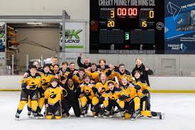 Image result for Perth Junior Ice Hockey Club