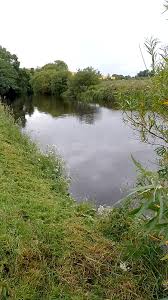 Image result for Carrick Angling Club