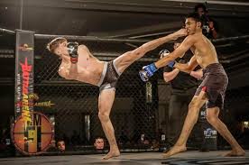 Image result for Stoke on Trent Thai Boxing Club
