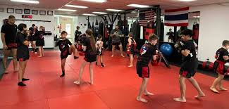 Image result for Vipers Thai/Kickboxing School