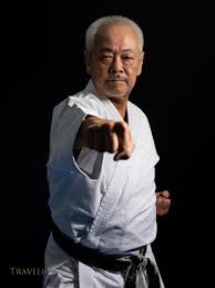 Image result for Zen Shin Seicho Do Adult Karate