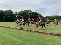 Image result for Taunton Vale Polo Club