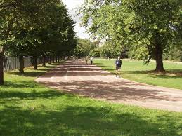 Image result for Running Club Regent's Park - We Run