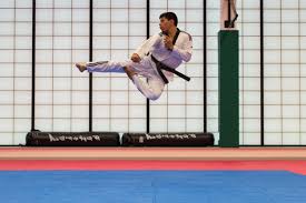 Image result for COURT FIELDS karate Academy