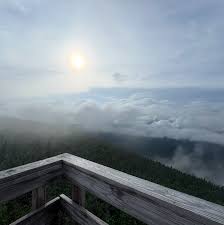 Attēlu rezultāti vaicājumam “Diderma montanum”