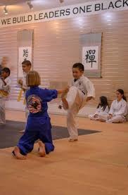 Image result for America's Best Karate