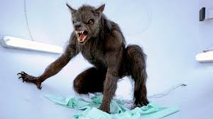 Image result for werehuman фото