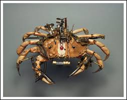 Image result for Cancer irroratus