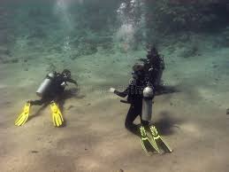 Image result for Three Seas Diving