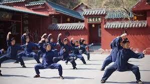 Image result for WUQI KUNG FU AND HEALTH SOCIETY