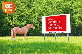 Image result for British Horse Society