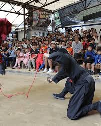 Image result for Hertfordshire Iga Ryu Ninjutsu