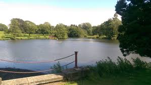 Image result for Penketh & Old Hall Angling Society