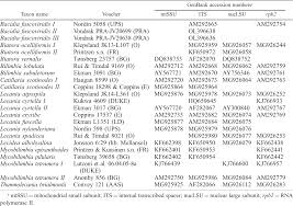 Attēlu rezultāti vaicājumam “Bilimbia tetramera”