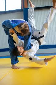 Image result for Combined self defence arts