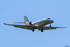 Image result for gepetto tehron