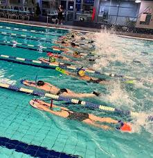 Image result for Tynedale Swimming Club