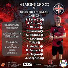 Image result for J & G Meakin Cricket Club