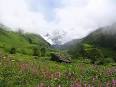 http://upload.wikimedia.org/wikipedia/commons/thumb/6/63/Valley_of_flowers_uttaranchal_full_view.JPG/300px-Valley_of_flowers_uttaranchal_full_view.JPG