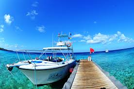 Image result for Great Western Divers