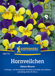 Image result for Hornveilchen