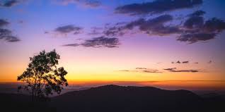 「Mt. Tamborine」的圖片搜尋結果