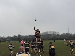 Image result for Farnham Rugby Union Football Club