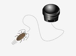 Image result for ゴキブリ報告所