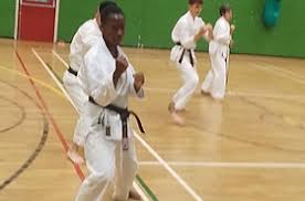 Image result for Soncho Karate Club
