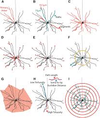 Image result for D.A.R.E!! Development + RadiSense III Y-Axis