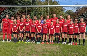 Image result for Crawley Down Netball Club