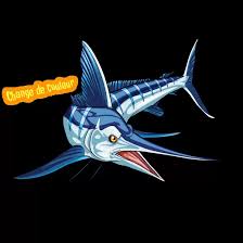 Image result for Kajikia albida