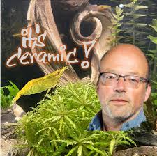 Attēlu rezultāti vaicājumam “Warnstorfia fluitans”