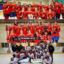 Image result for Streatham Night Wolves Ice Hockey Team