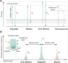 Image result for Rayleigh Sac