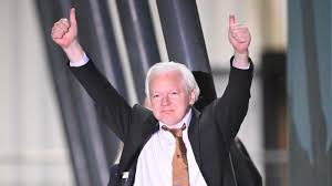 Image result for assange