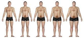 Image result for fat