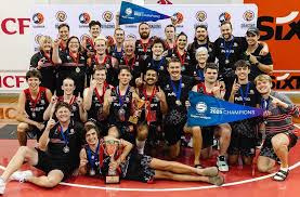 Image result for Willenhall Town Wanderers Netball Club