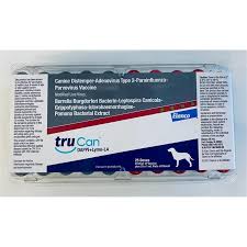 Attēlu rezultāti vaicājumam “Diderma simplex macro”