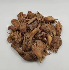 Attēlu rezultāti vaicājumam “Orchis mascula bud”